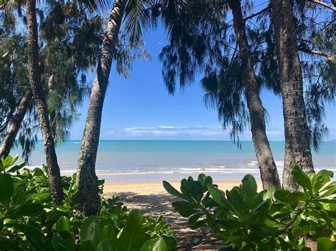 Palm Cove Beach All You Need To Know Before You Go