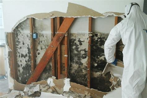 Mold Removal Process Kidds Restoration Services