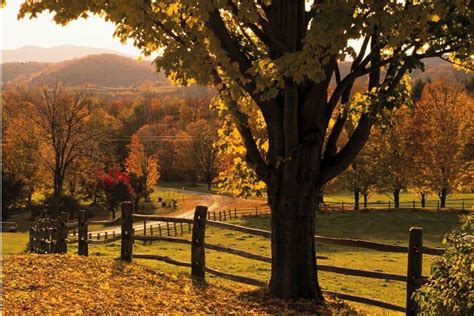 10 Perfect Things To Do In Woodstock Vermont In The Fall