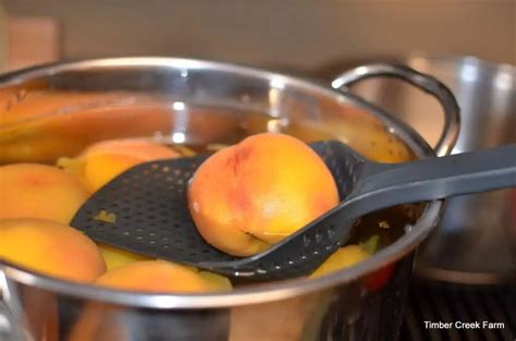 Cooking Peaches Preserved Baked And Delicious Timber Creek Farm