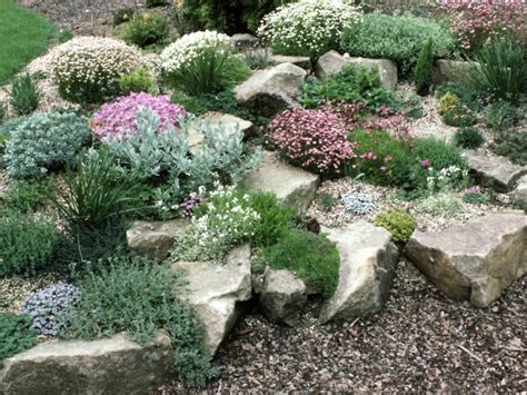 20 Facts To Know About Flowers And Plants For Rock Gardens Interior