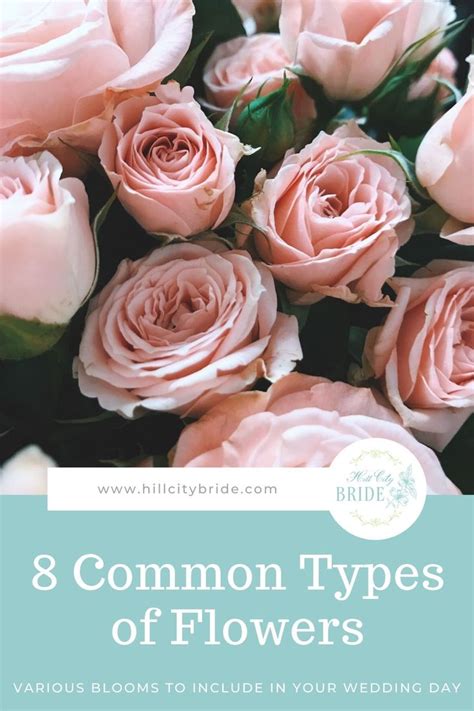 Pink Roses With The Words 8 Common Types Of Flowers