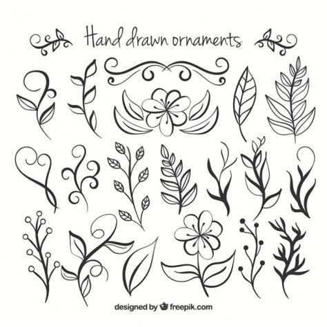 Free Vector Hand Drawn Floral Ornaments Collection