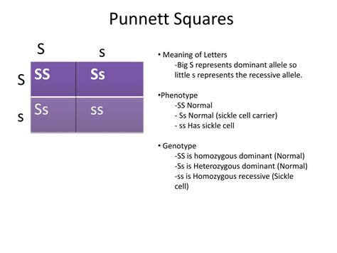 Sickle Cell Disease Punnett Square Quotes Trending