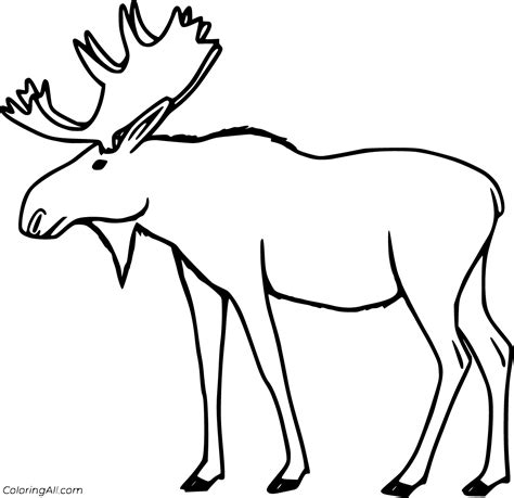 Moose Coloring Pages Coloringall