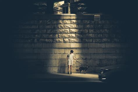 Free Images Night Sidewalk Dog Line Reflection Tower Shadow