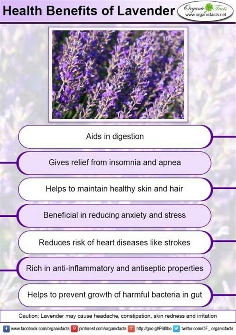 Lavender Lavender Benefits Health Benefits Herbs For Health