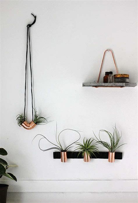 13 Diy Air Plant Holders To Display Your Hovering Plants With Pride