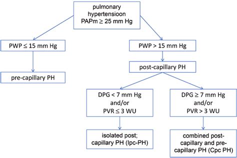 Definition Of Pulmonary Hypertension Download Scientific Diagram