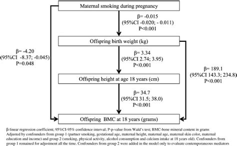 Overall Association Between Maternal Smoking During Pregnancy Download Scientific Diagram