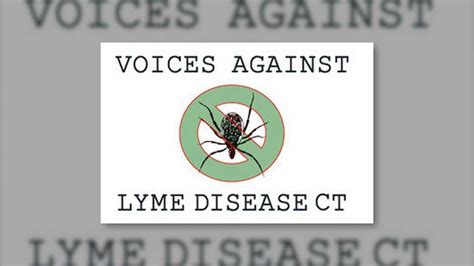 Voices Against Lyme Disease Presents The 2nd Annual Its Time To Get