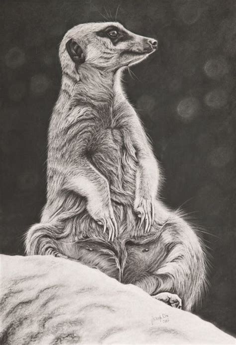 85 Simple And Easy Pencil Drawings Of Animals For Every Beginner Page