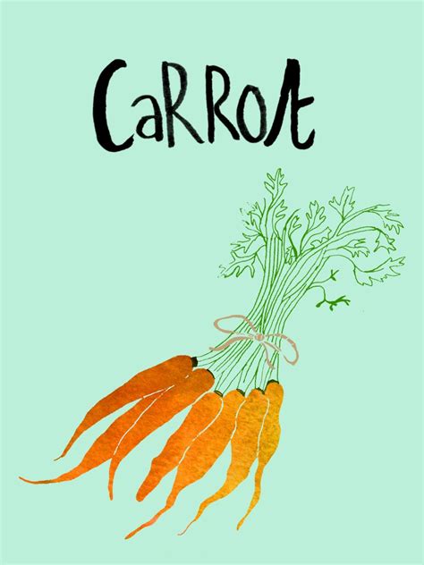 Vegetable Of The Week Carrot Food Illustrations Illustration