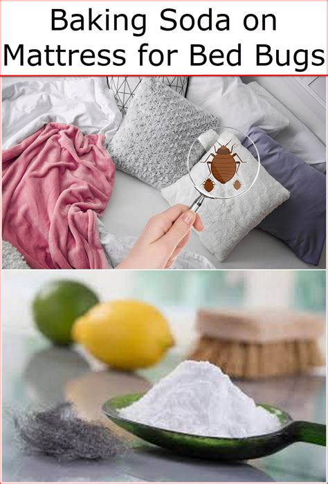 How bed bugs got into your home. Baking Soda on Mattress for Bed Bugs | Baking Soda Uses ...