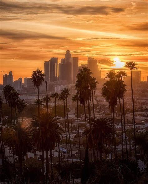 Sunset Los Angeles City Los Angeles Hd Phone Wallpaper Peakpx