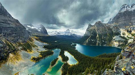 Lake O Hara Yoho Bing Wallpaper Download