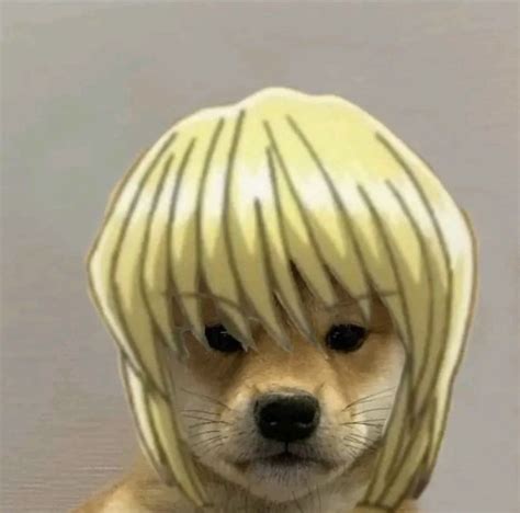 Pin By Moonix On Kurapika Anime Meme Face Dog Icon Funny Anime Pics