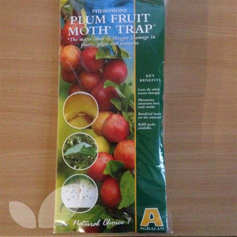 Each lure lasts 8 weeks, twice the useful lifespan of competitor's products! Plum Fruit Moth Trap | Buy Online