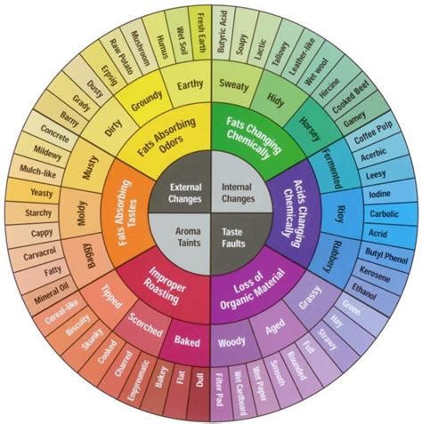Based on the world coffee research sensory lexicon (), the flavor wheel helps coffee professionals and amateurs in describing tastes and aromas of coffee using a common vocabularythe latest wheel update, created collaboratively with the specialty coffee association of america (scaa) and. http://dc611.4shared.com/img/xeofwJfg/s3/13bb82a4c30 ...