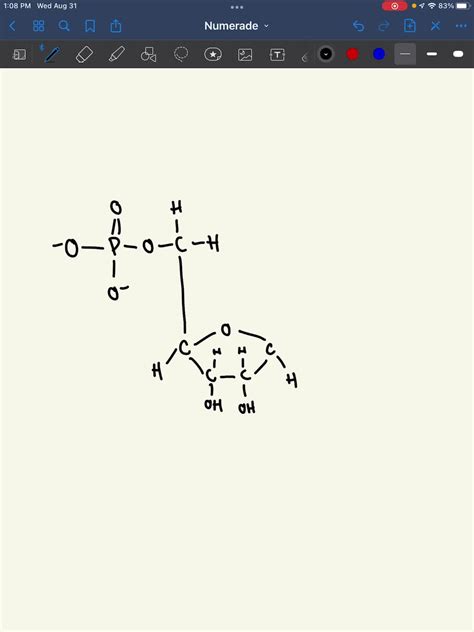 Solved Draw The Non Cyclic Amp Molecule After It Has Dissolved In Water
