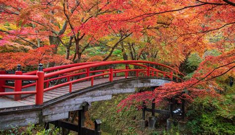 20 Best Spots For Autumn In Japan Fall Foliage Viewing