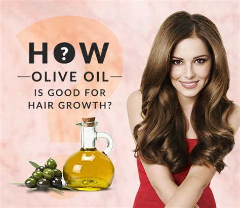 The reason why brow hair will grow back when you use olive oil is that it is known as one of the best essential oils that nourish hair follicles. 6 Tips to Make Your Hair Grow Faster With Olive Oil ...