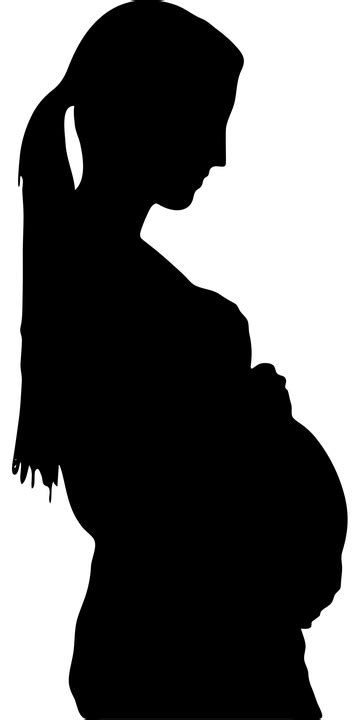 Těhotenství Těhotná Matka Vektorová Grafika Zdarma Na Pixabay