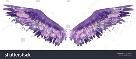 144815 Imágenes De Purple Wings Imágenes Fotos Y Vectores De Stock