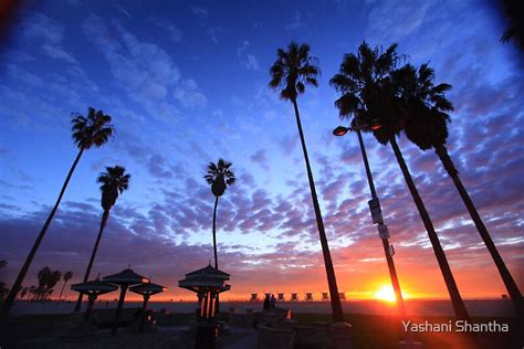 Venice Beach Sunset By Yashani Shantha Redbubble