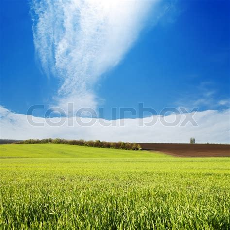 Field With Green Grass Under Cloudy Sky Stock Image Colourbox