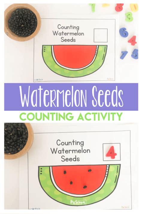 Free Counting Activity With A Watermelon Worksheet