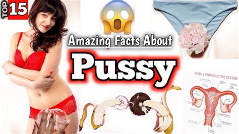 Surprising Facts About Pussy Amazing Facts About Vagina Intersting Facts About Vagina