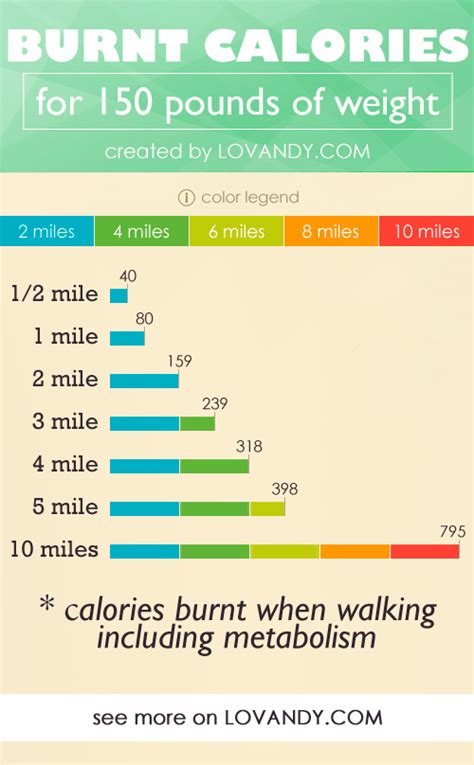 Calories Burned By Walking How To Calculate