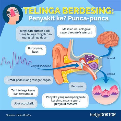 Cara Nak Hilangkan Sakit Dalam Telinga