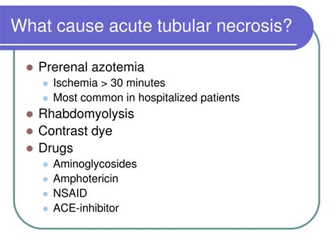 Acute Tubular Necrosis Causes Symptoms Diagnosis Treatment Images