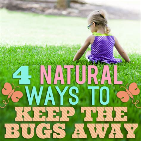 May 05, 2020 · if you prefer a more extreme way to keep bugs away, planting some venus flytraps in your garden might do the trick. 4 Natural Ways to Keep the Bugs Away - Daily Mom
