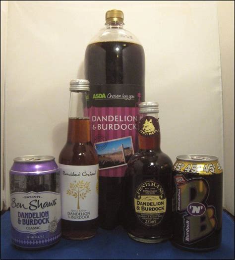 How To Make Dandelion And Burdock Soda