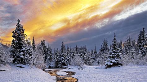 Free Download Winter Landscape 4k Ultra Hd Wallpaper 4k Wallpapernet Vrogue