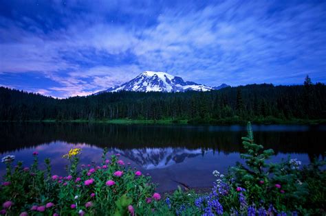Flowers Lakes Mountains Sky Reflection Trees Wallpapers Hd