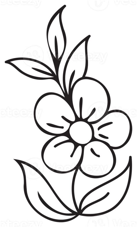 Line Art Flower Illustration Png With Transparent Background 12494002 Png