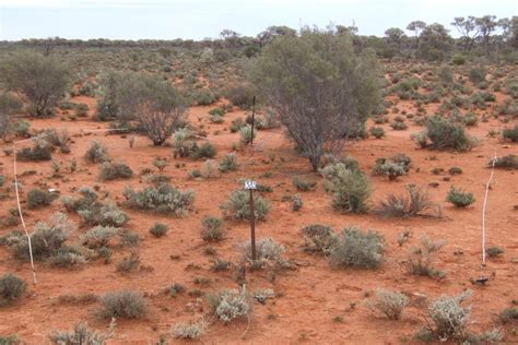 Rangeland Inventory And Condition Survey Of The North Eastern