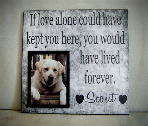 Celebrate your kitty's life or help friends and family remember their beloved pets with unique, commemorative keepsakes. Popular items for pet memorial frame on Etsy | Pet picture ...