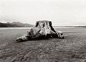El silencio estadounidense en la fotografía ecológica de Robert Adams ...