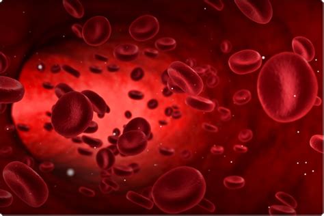 Could Engineered Red Blood Cells Be An Effective Antiviral Against Sars