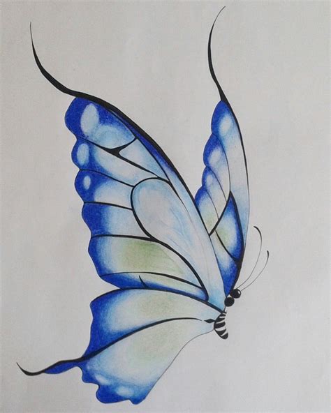 Butterfly Drawings With Color