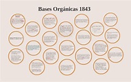 Bases Orgánicas 1843 by Alejandra Vargas on Prezi