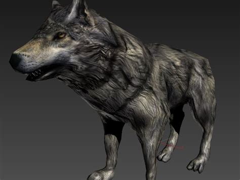 Low Poly Rigged Wolf 3d Model Game Ready Rigged Max Obj