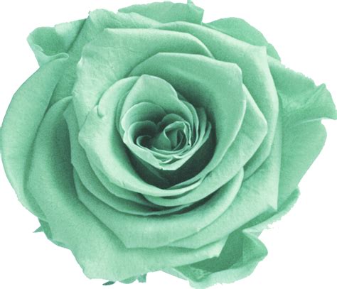 Mint Transparent Flower Crown Mint Green Flower Png Free