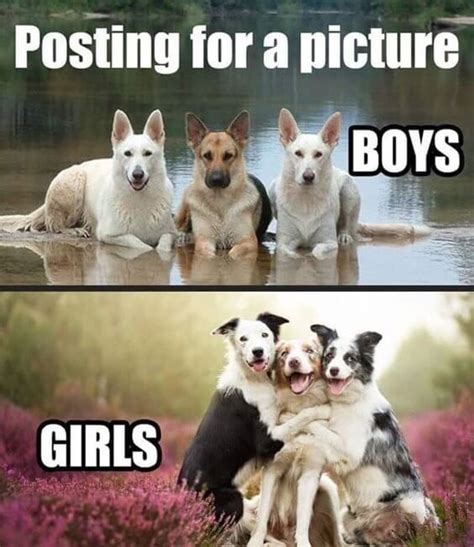 World Animal Day 2020 Here Are 7 Wholesome Animal Memes That You Need