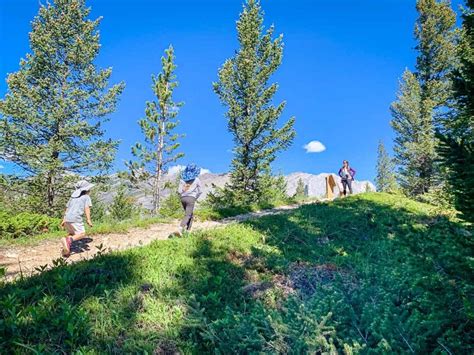 Bow River Interpretive Trail In Kananaskis Travel Banff Canada